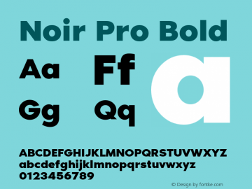 Noir Pro Bold Version 1.000;PS 001.000;hotconv 1.0.70;makeotf.lib2.5.58329 Font Sample