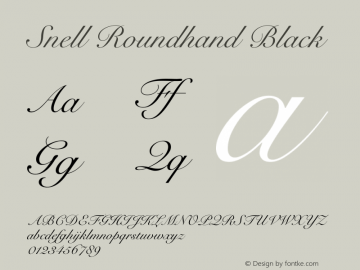 Snell Roundhand Black 10.0d5e5图片样张