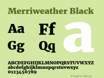 Merriweather Black Regular Version 1.584; ttfautohint (v1.5) -l 6 -r 36 -G 0 -x 10 -H 350 -D latn -f cyrl -w 