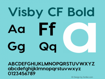 VisbyCF-Bold Version 3.100;PS 003.100;hotconv 1.0.88;makeotf.lib2.5.64775 Font Sample