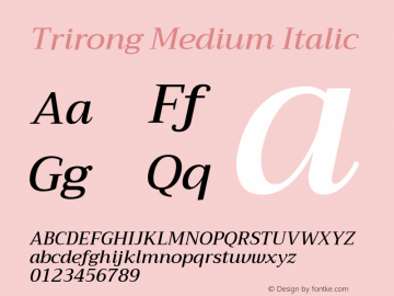 Trirong Medium Italic Version 1.001图片样张