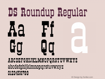 DS Roundup Version 002.001 Font Sample