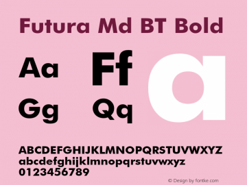 Futura Md BT Bold Version 1.01 emb4-OT;com.myfonts.easy.bitstream.futura.bold.wfkit2.version.2fra Font Sample