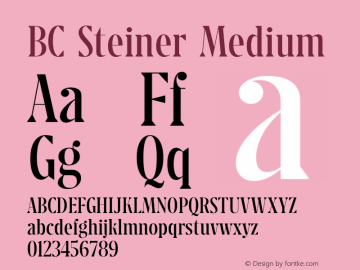 BC Steiner MBL Regular Version 1.000 Font Sample