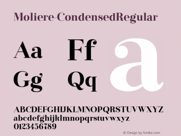 ☞Moliere-CondensedRegular Version 1.000;com.myfonts.easy.eurotypo.moliere.cond-regular.wfkit2.version.3FSc Font Sample