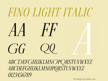 Fino Light Italic Version 1.012;PS 001.012;hotconv 1.0.88;makeotf.lib2.5.64775图片样张