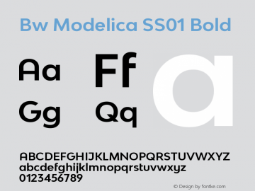 Bw Modelica SS01 Bold Version 2.000;PS 002.000;hotconv 1.0.88;makeotf.lib2.5.64775 Font Sample