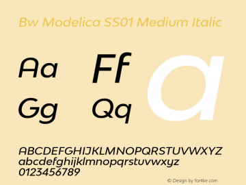 Bw Modelica SS01 Medium Italic Version 2.000;PS 002.000;hotconv 1.0.88;makeotf.lib2.5.64775 Font Sample