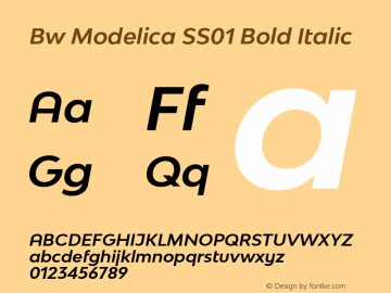 Bw Modelica SS01 Bold Italic Version 2.000;PS 002.000;hotconv 1.0.88;makeotf.lib2.5.64775 Font Sample