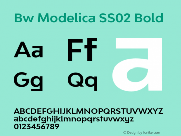 Bw Modelica SS02 Bold Version 2.000;PS 002.000;hotconv 1.0.88;makeotf.lib2.5.64775 Font Sample