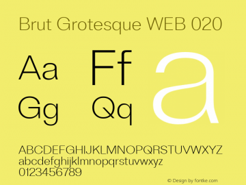 BrutGrotesqueWEB-020 Version 1.001;PS 1.1;hotconv 1.0.88;makeotf.lib2.5.647800 Font Sample