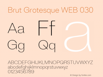 BrutGrotesqueWEB-030 Version 1.001;PS 1.1;hotconv 1.0.88;makeotf.lib2.5.647800 Font Sample