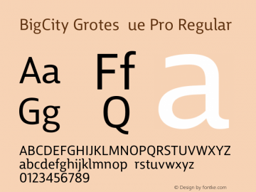 BigCity Grotesque Pro Regular  Font Sample
