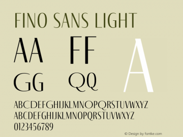 Fino Sans Light Version 1.012;PS 001.012;hotconv 1.0.88;makeotf.lib2.5.64775; ttfautohint (v1.5.34-1b95)图片样张