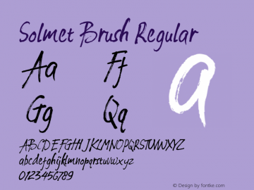 Solmet Brush Version 1.0图片样张