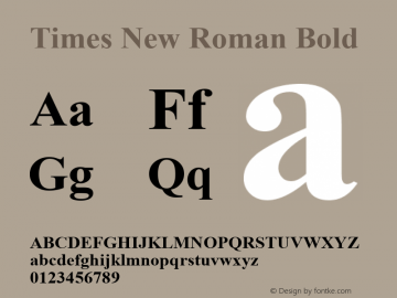 Times New Roman Bold MS core font:V2.00图片样张