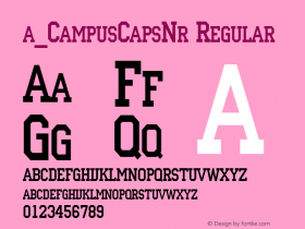 a_CampusCapsNr Regular 01.03图片样张