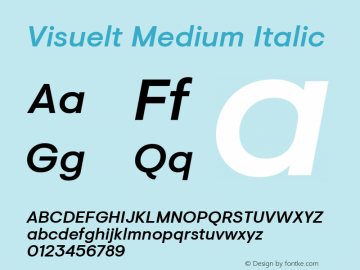 Visuelt Medium Italic Version 2.000; ttfautohint (v1.5)图片样张