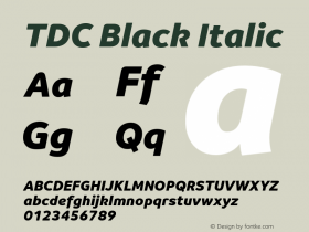 TDC Black Italic Version 1.002 Font Sample