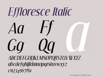 Effloresce Italic OTF 4.000;PS 001.001;Core 1.0.29图片样张