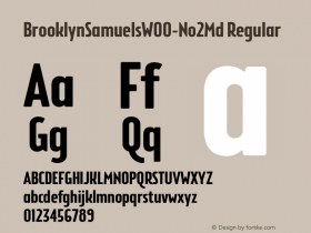 Brooklyn Samuels W00 No2 Medium Version 4.10 Font Sample