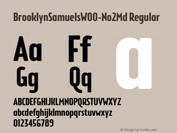 Brooklyn Samuels W00 No2 Medium Version 4.10 Font Sample