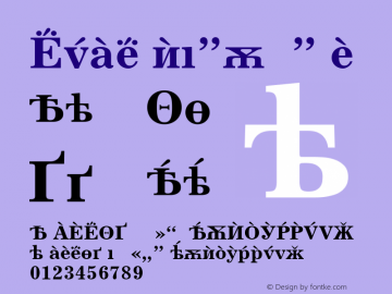 Excelsior Cyrillic A Bold Version 001.001 Font Sample