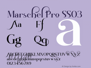 MarschelPro-SS03 Version 1.000图片样张