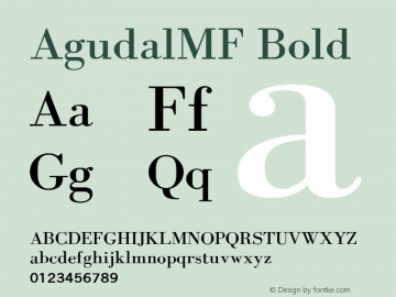 AgudalMF Bold 9/1/2003图片样张