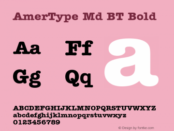 American Typewriter Bold BT mfgpctt-v1.53 Friday, January 29, 1993 12:02:54 pm (EST) Font Sample