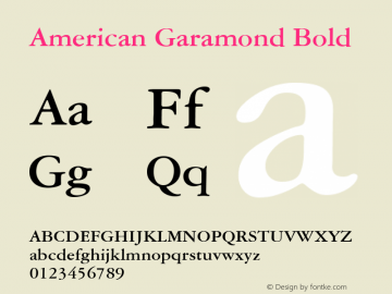 American Garamond Bold Version 003.001 Font Sample