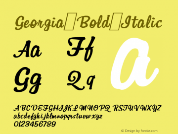 Georgia Bold Italic Version 5.00x-4 Font Sample