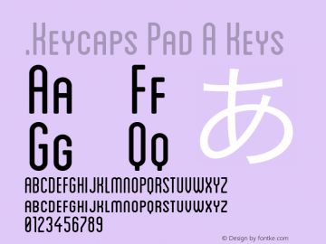.Keycaps Pad A Keys 10.5d29e15图片样张
