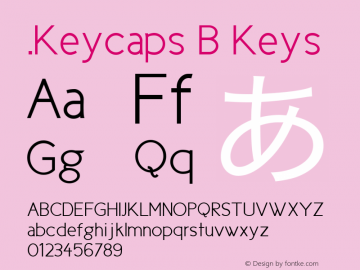 .Keycaps B Keys 10.5d29e15图片样张