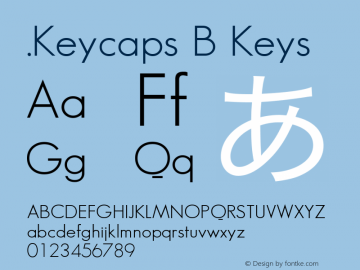 .Keycaps B Keys 10.5d23e8图片样张