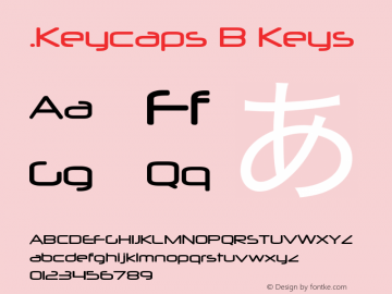 .Keycaps B Keys 10.5d23e8图片样张