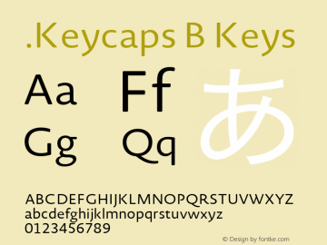 .Keycaps B Keys 10.5d23e8图片样张