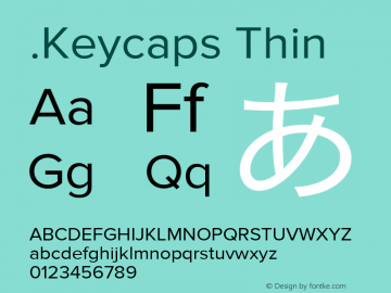 .Keycaps Thin 10.0d12e1图片样张
