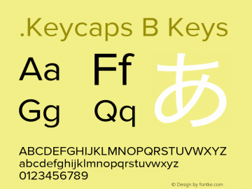 .Keycaps B Keys 10.0d12e1图片样张