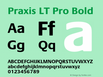 PraxisLTPro-Bold Version 1.000;PS 001.000;hotconv 1.0.38 Font Sample