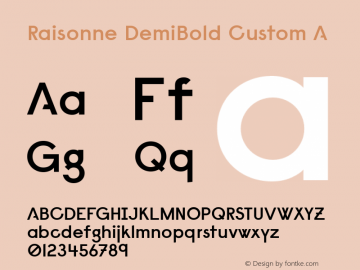 Raisonne-DemiBold Custom A Version 1.000图片样张