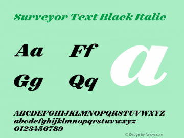 Surveyor Text Black Italic Version 1.200 Pro图片样张