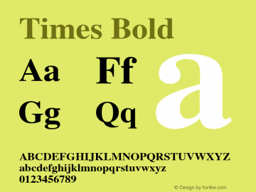Times Bold 3.5a3 Font Sample