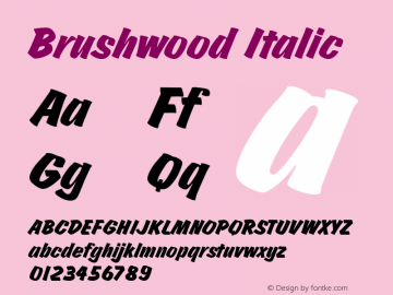 Brushwood Italic Version 001.005图片样张