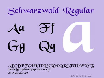 Schwarzwald Regular From the WSI-Fonts Professional Collection图片样张
