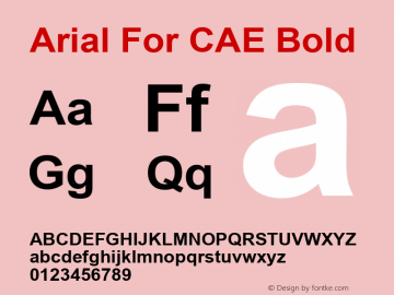 Arial For CAE Bold Version 1.00 Font Sample