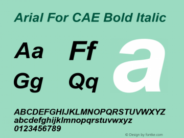 Arial For CAE Bold Italic Version 1.00 Font Sample