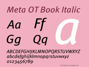 MetaOT-BookIta Version 7.504; 2005; Build 1021图片样张