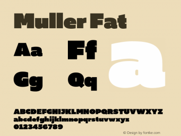 Muller-Fat Version 1.000;PS 001.000;hotconv 1.0.88;makeotf.lib2.5.64775 Font Sample