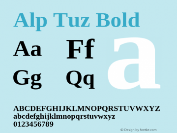 Alp Tuz Bold Version 4.20 April 5, 2011图片样张